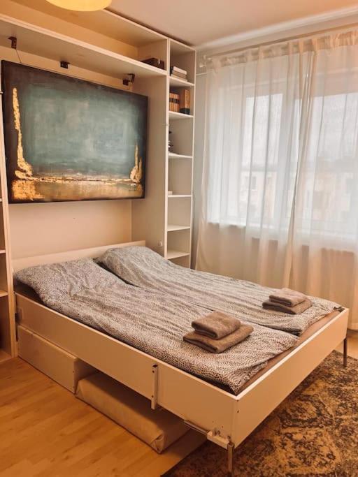 Lorand'S Place Near The River Apartment คลูจ-นาโปกา ภายนอก รูปภาพ